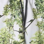 roupa-infantil-bermuda-botanico-b-verde-green-by-missako-G6201834-600-5