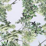 roupa-recem-nascido-manta-botanico-g-verde-green-by-missako-G6251003-600-4