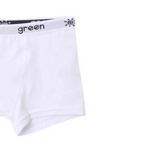 acessorio-infantil-menino-kit-2-cueca-boxer-branco-green-by-missako-55.12.0004-010-5
